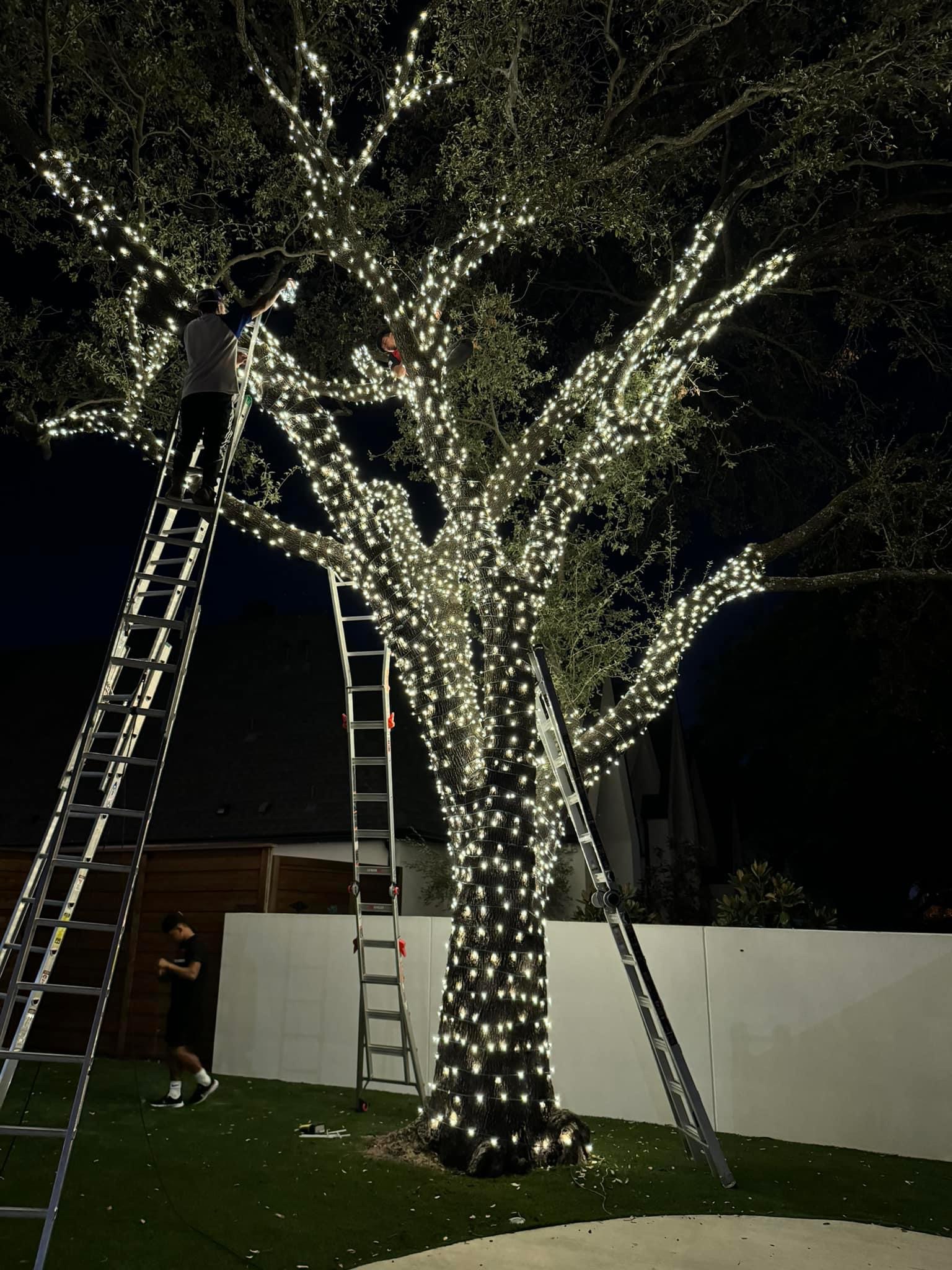Commercial Christmas lighting installation